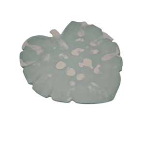 Monstera-Keramikschale