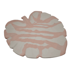 Monstera-Keramikschale