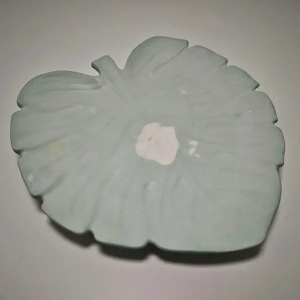 Schale Teichrose – Bild 2