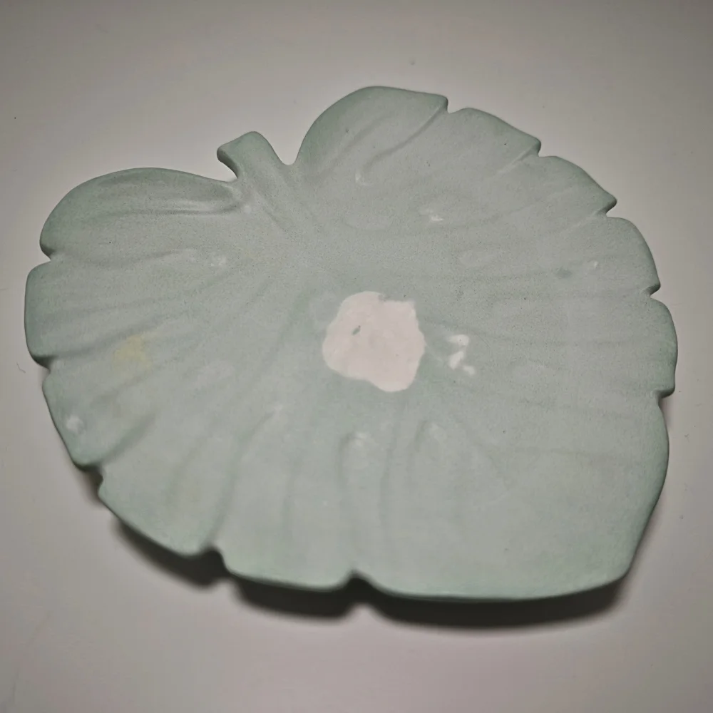 Schale Teichrose – Bild 2
