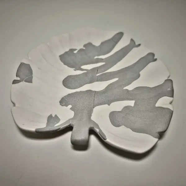 Schale Zebra – Bild 2